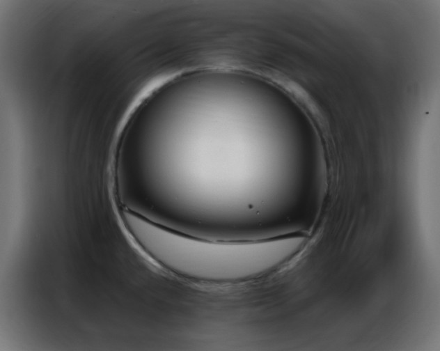 X0000086931432200704161415