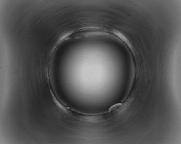 X0000086931433200704161415