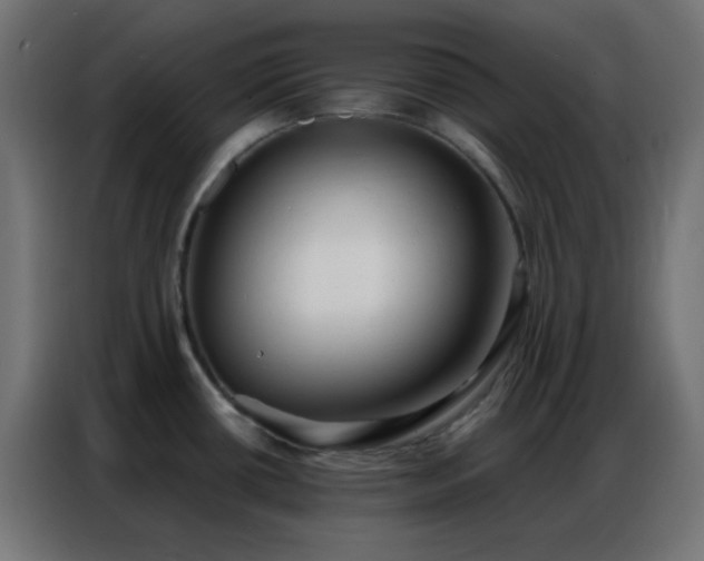 X0000086931434200704161415