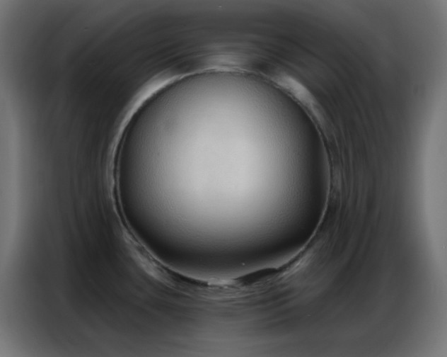 X0000086931435200704161415