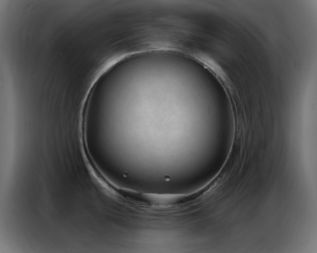 X0000086931439200704161415