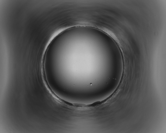 X0000086931440200704161415