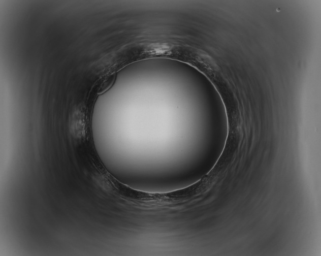 X0000086931442200704161414