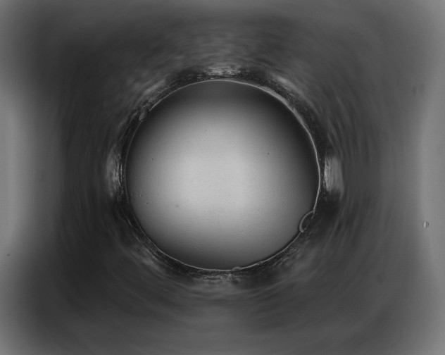 X0000086931444200704161414