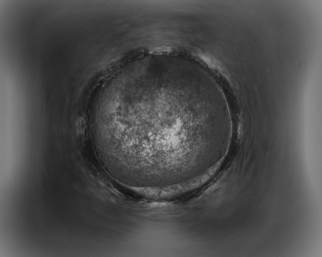 X0000086931445200704161414
