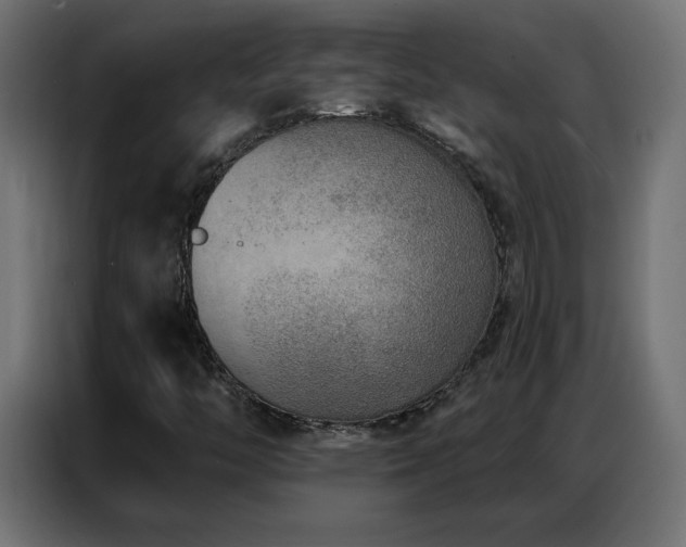 X0000086931446200704161414