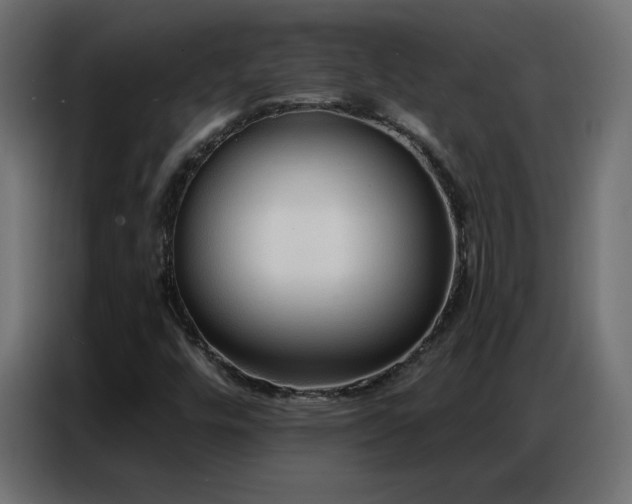 X0000086931448200704161414
