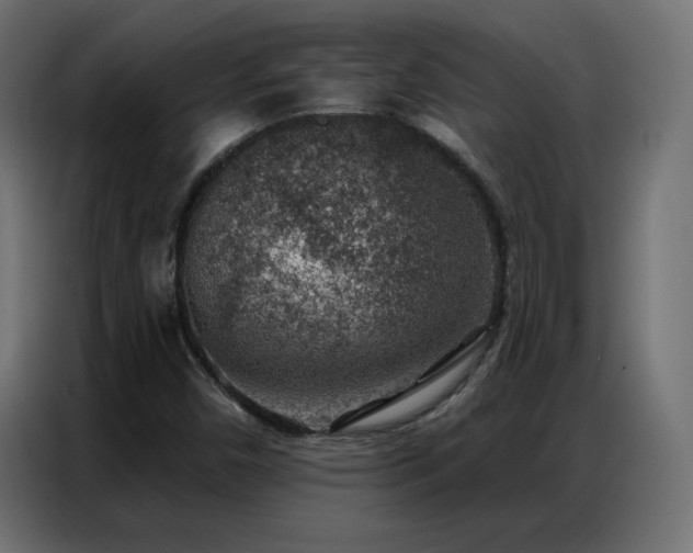 X0000086931450200704161414
