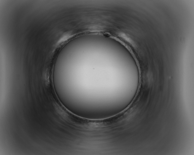 X0000086931451200704161414