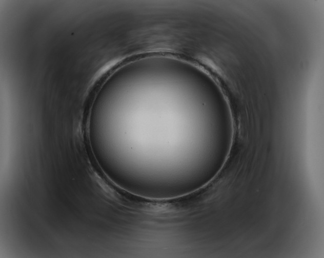 X0000086931452200704161414