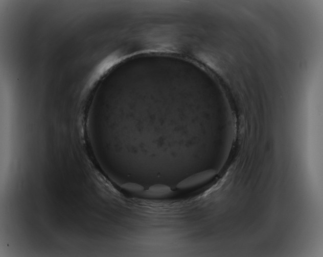 X0000086931455200704161414