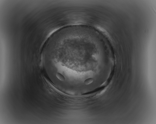 X0000086931457200704161414