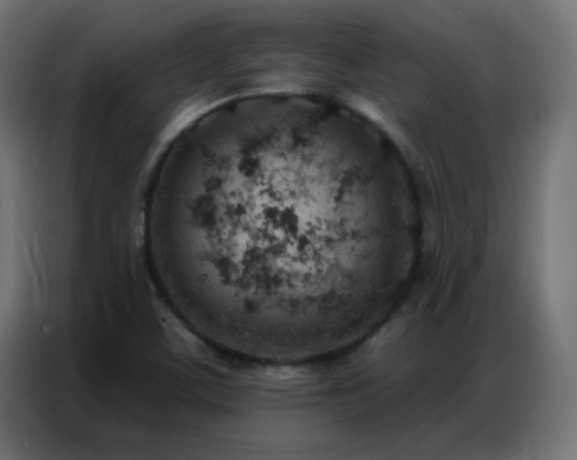 X0000086931459200704161414