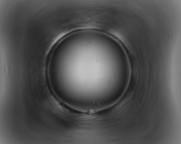 X0000086931460200704161414