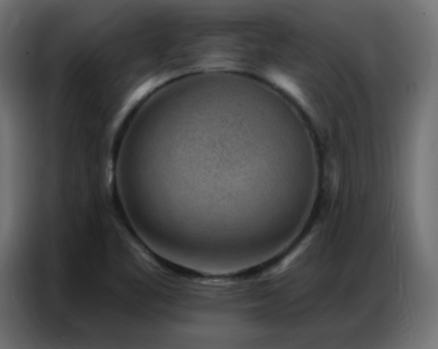 X0000086931461200704161414