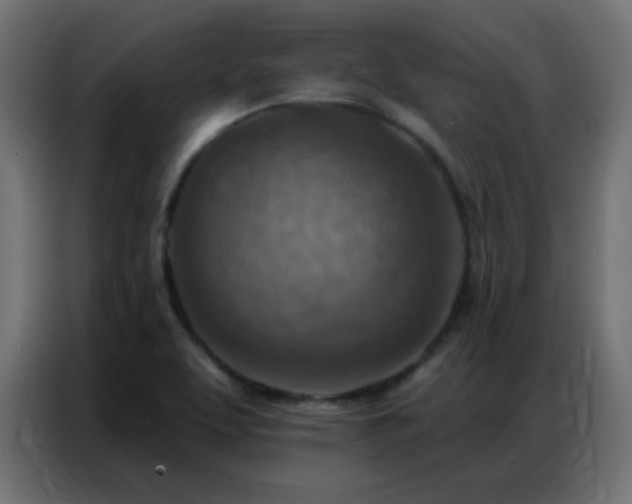 X0000086931463200704161414