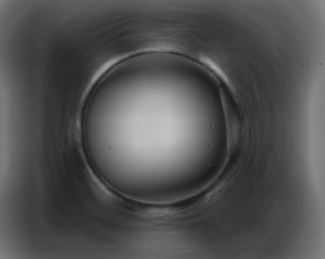 X0000086931468200704161414