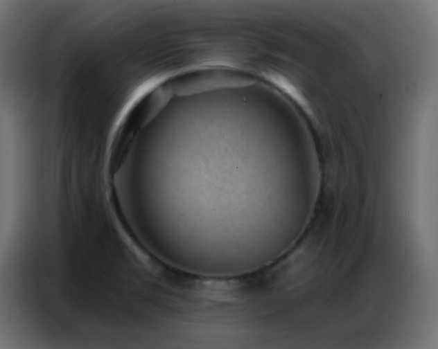 X0000086931469200704161414