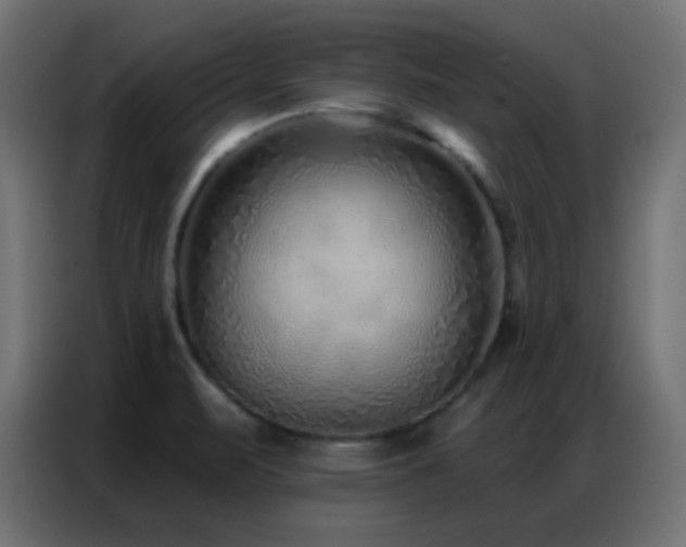 X0000086931471200704161414