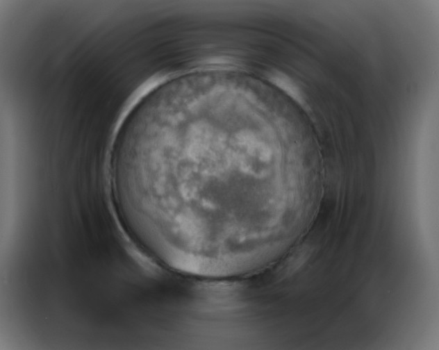 X0000086931474200704161414