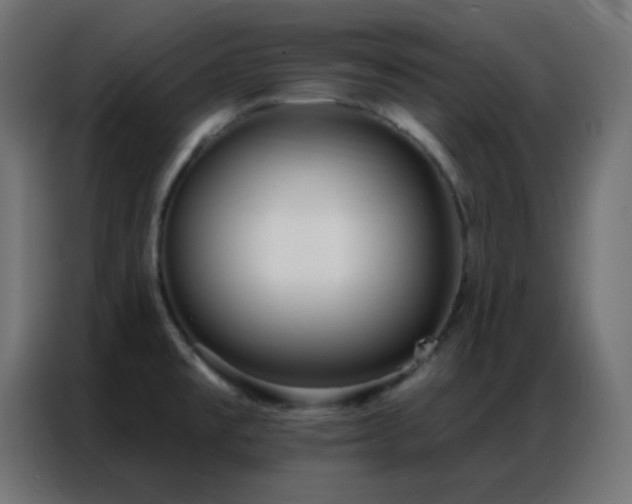 X0000086931477200704161413