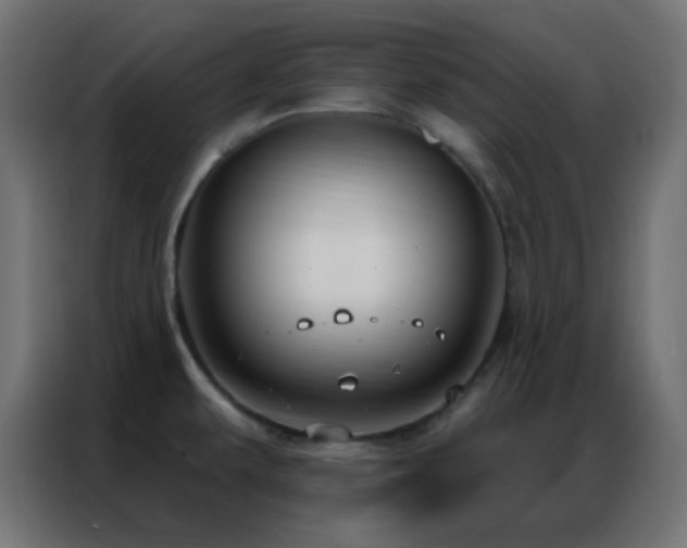 X0000086931479200704161413