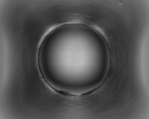 X0000086931480200704161413