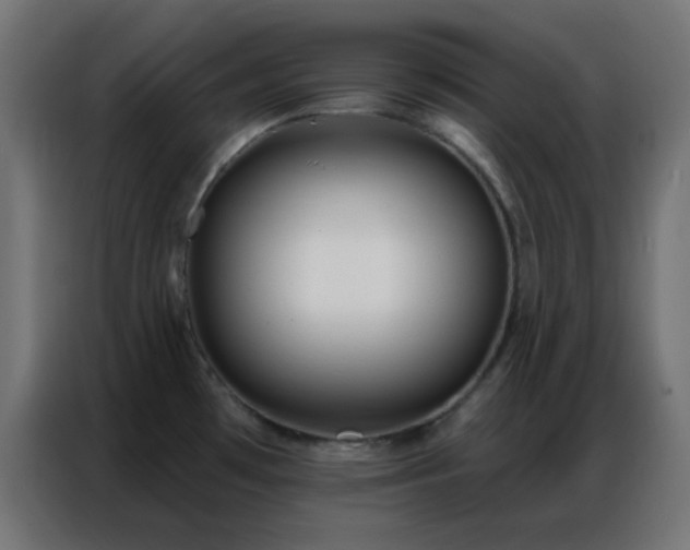 X0000086931481200704161413
