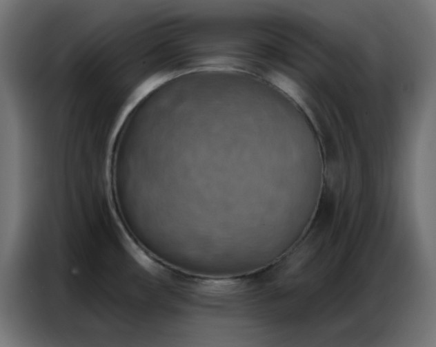 X0000086931482200704161413