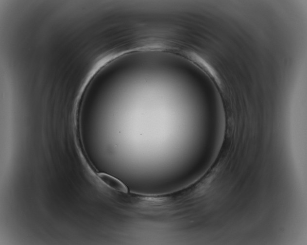 X0000086931483200704161413