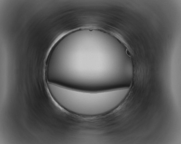 X0000086931484200704161413