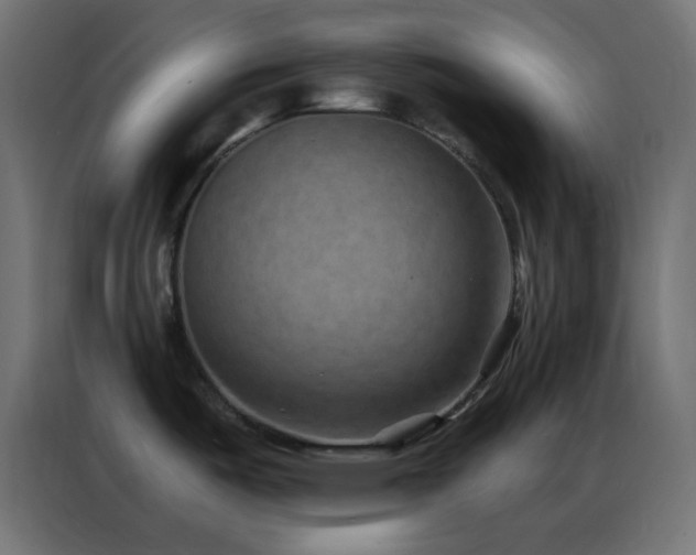 X0000086931487200704161413