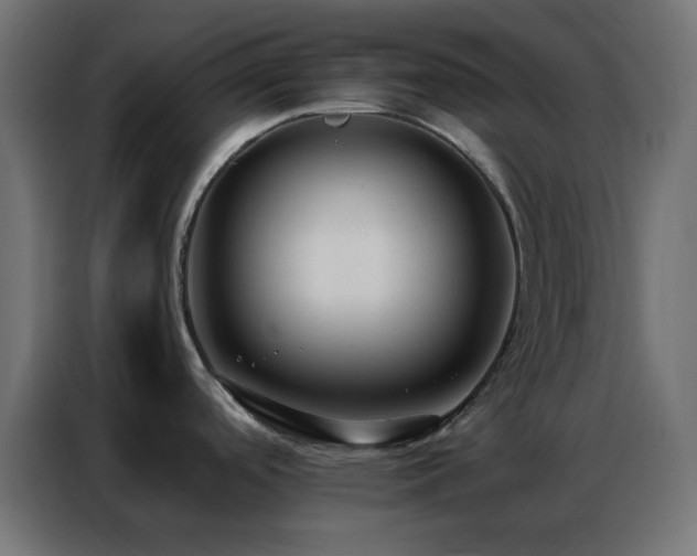 X0000086931488200704161413