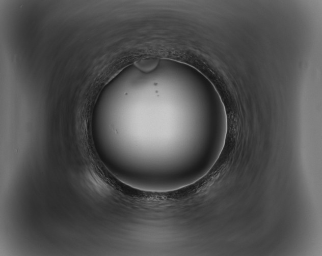 X0000086931489200704161413