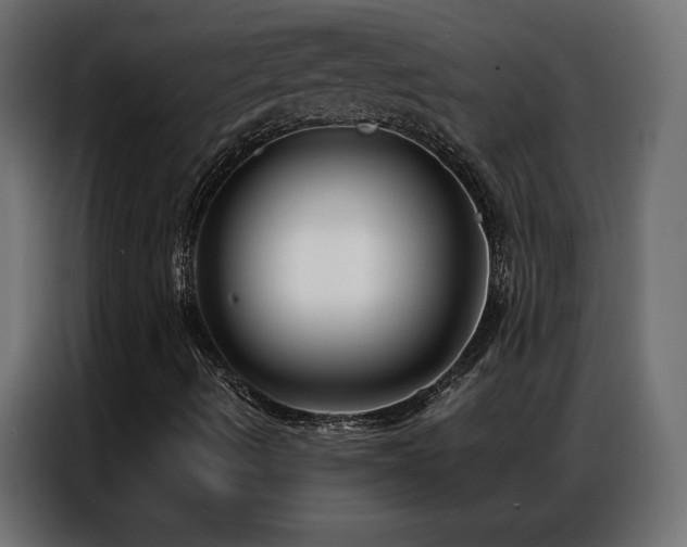 X0000086931490200704161413