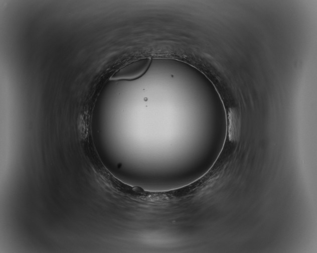 X0000086931491200704161413