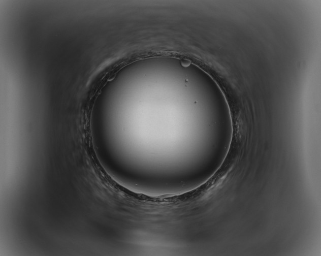 X0000086931494200704161413
