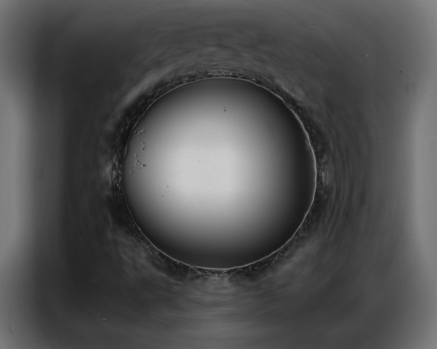 X0000086931495200704161413