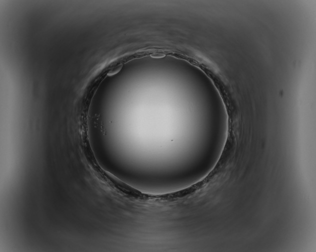 X0000086931496200704161413