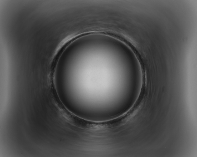 X0000086931501200704161413