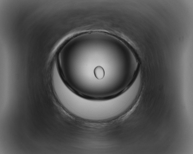 X0000086931502200704161413