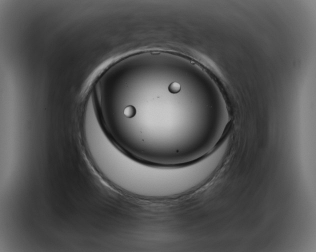 X0000086931504200704161413