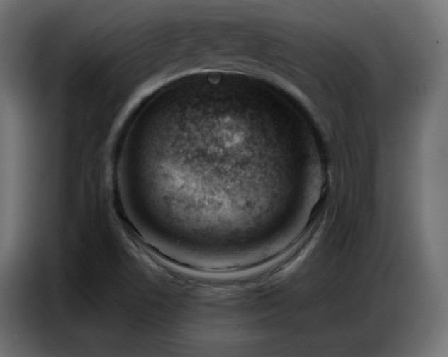 X0000086931506200704161413