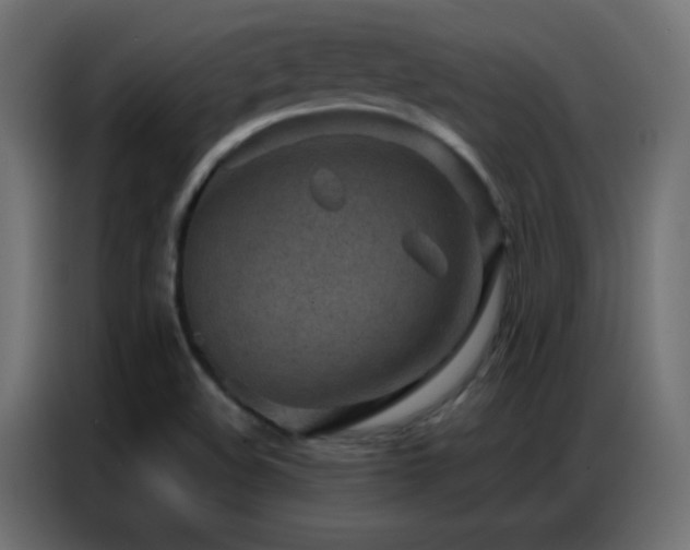 X0000086931508200704161413