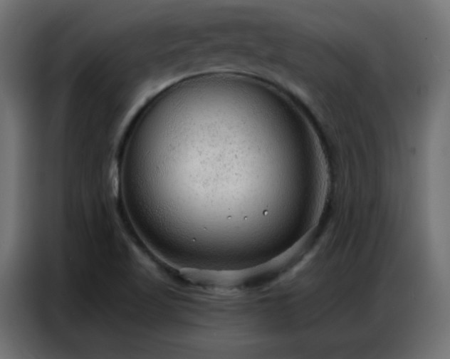 X0000086931509200704161413
