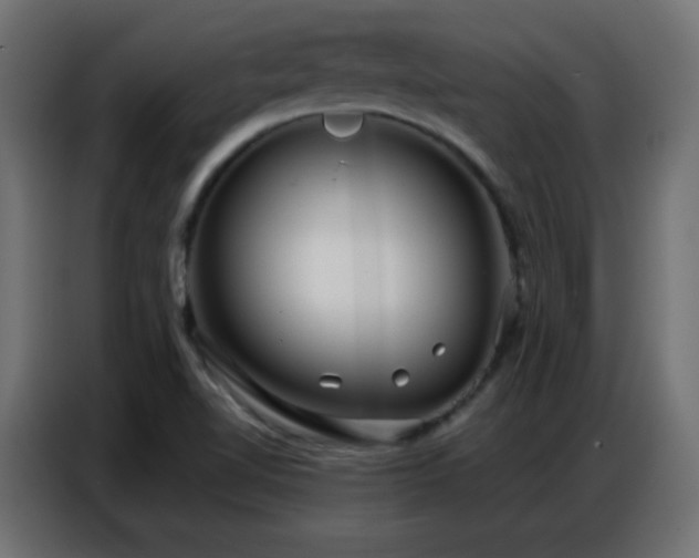 X0000086931510200704161413