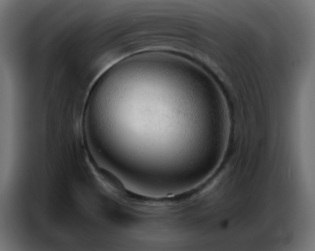 X0000086931513200704161413