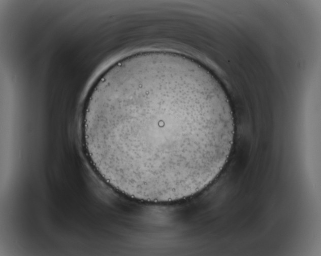 X0000086931514200704161413
