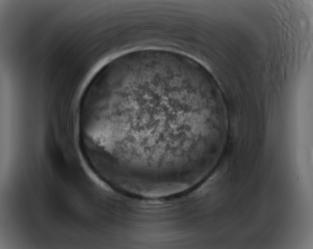 X0000086931515200704161413