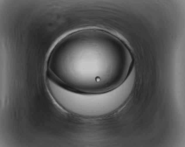 X0000086931516200704161413
